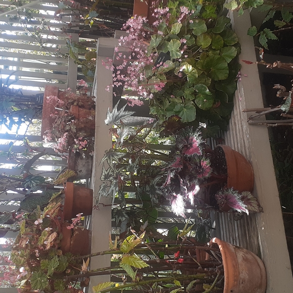 FASHION TO NATURE pause break Enjoy - Picture 4 of 6